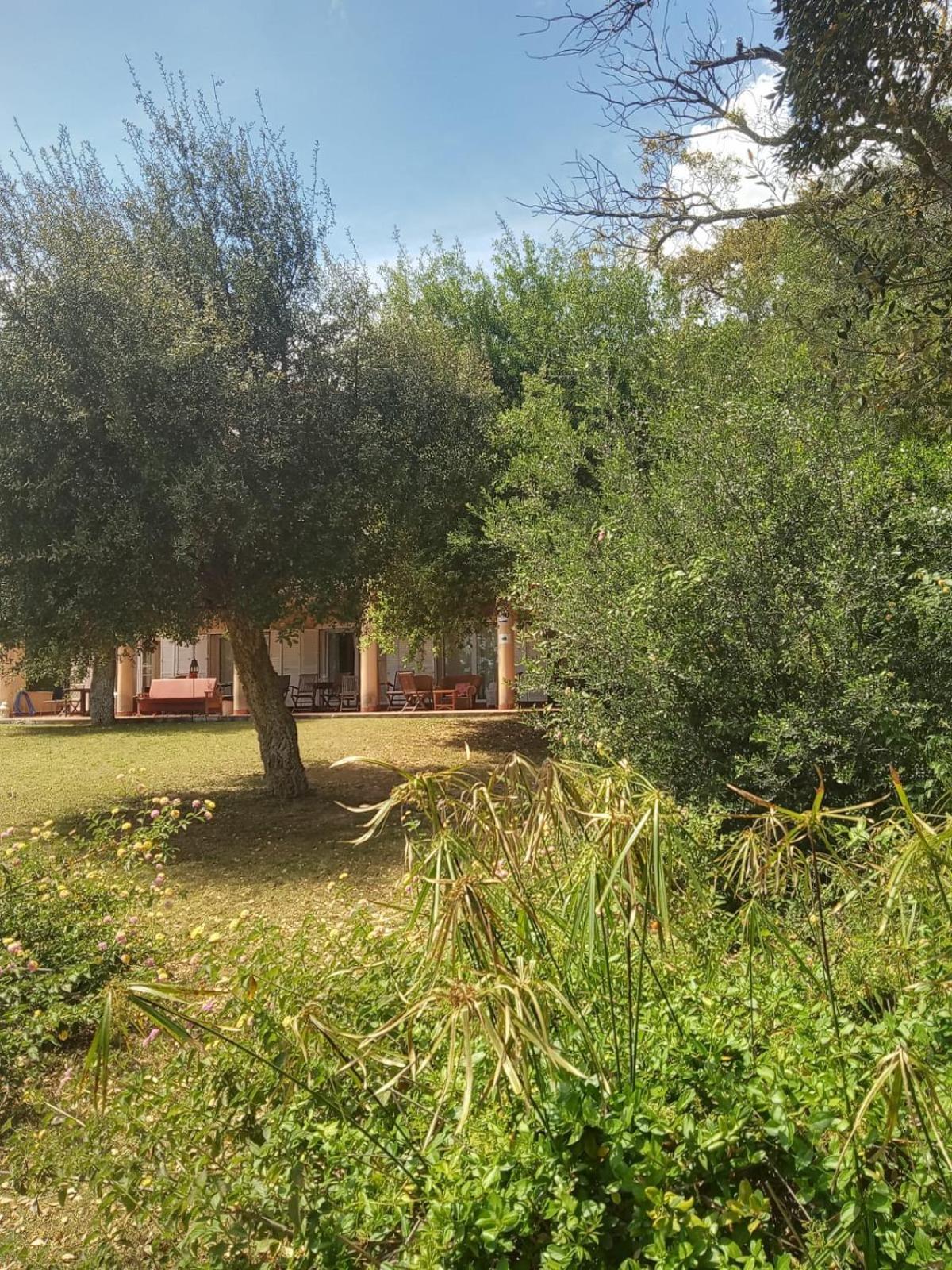 Sotogrande. Estancia Privada En Plena Naturaleza Exteriör bild
