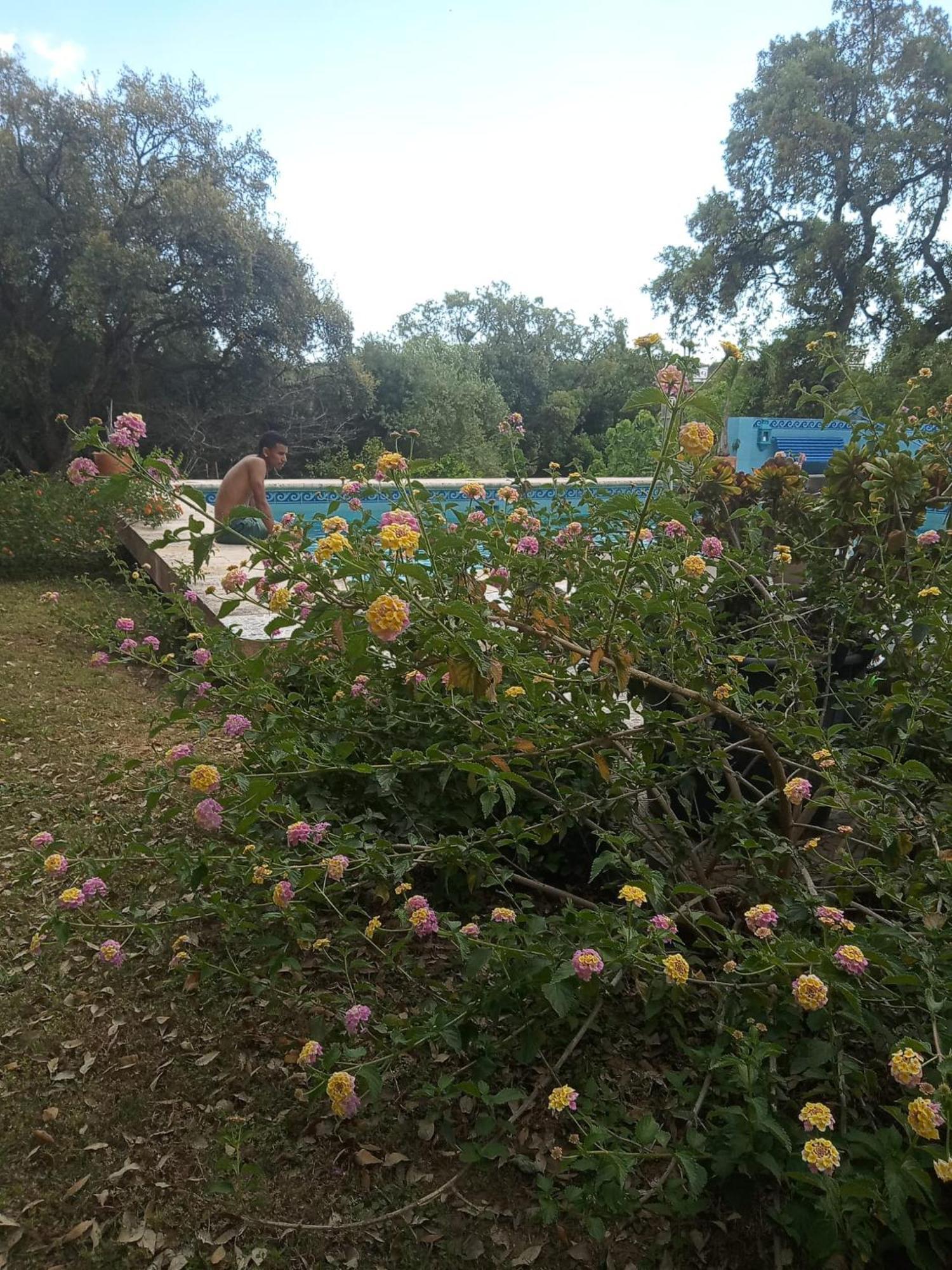 Sotogrande. Estancia Privada En Plena Naturaleza Exteriör bild